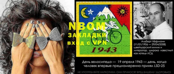 шишки Гусь-Хрустальный