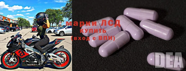 ГАЛЛЮЦИНОГЕННЫЕ ГРИБЫ Горняк