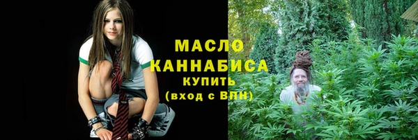 шишки Гусь-Хрустальный