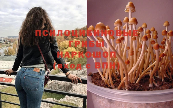 шишки Гусь-Хрустальный