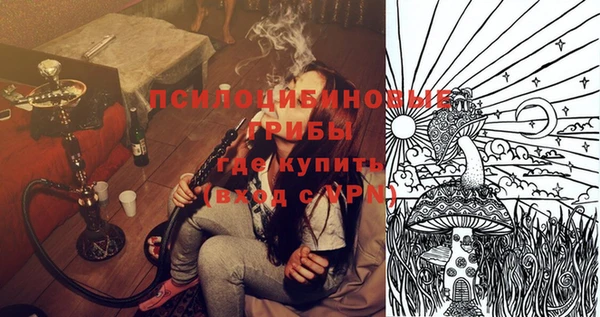 трава Гусев